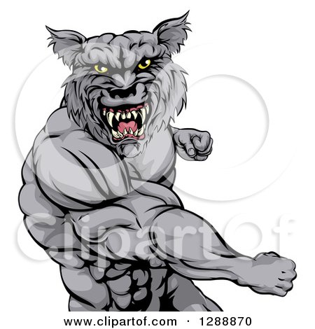 Clipart of a Tough Vicious Muscular Wolf Man Punching 2 - Royalty Free Vector Illustration by AtStockIllustration