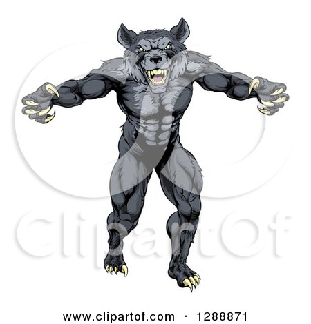 Clipart of a Muscular Aggressive Black Wolf Man Attacking - Royalty Free Vector Illustration by AtStockIllustration