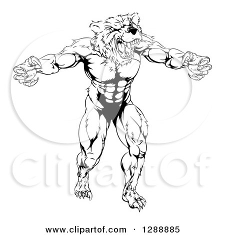 Clipart of a Black and White Muscular Vicious Bear Man with Claws Extended - Royalty Free Vector Illustration by AtStockIllustration