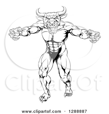 Clipart of a Black and White Snarling Bull Man Minotaur Monster Mascot Attacking - Royalty Free Vector Illustration by AtStockIllustration
