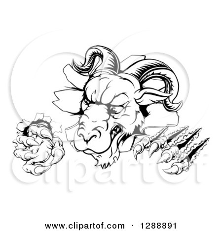 Clipart of a Black and White Angry Ram Monster Clawing Through a Wall - Royalty Free Vector Illustration by AtStockIllustration