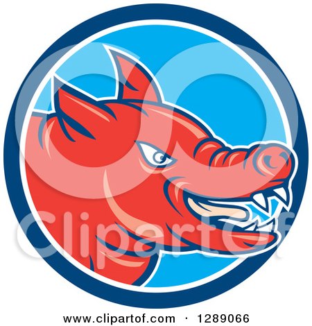 Clipart of a Cartoon Red Angry Pig Face in a Blue and White Circle - Royalty Free Vector Illustration by patrimonio