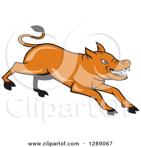 Clipart of a Cartoon Charging Angry Brown Pig - Royalty Free Vector Illustration by patrimonio