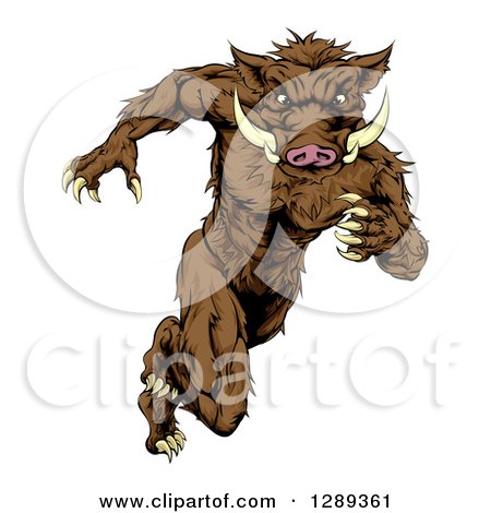 Clipart of a Sprinting Muscular Boar Man - Royalty Free Vector Illustration by AtStockIllustration