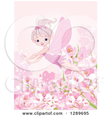 Clipart of a Flying Spring Time Fairy over Blossoms on Pink - Royalty Free Vector Illustration by Pushkin