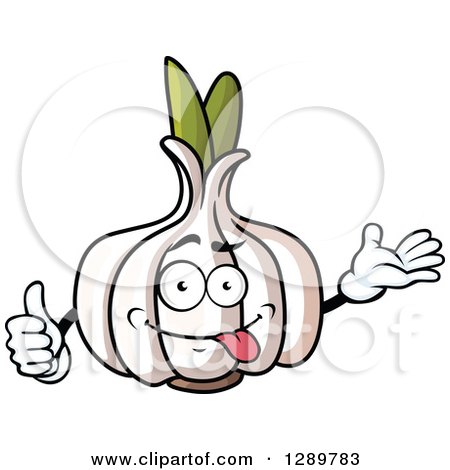 Clipart of a Goofy Garlic Character Presenting and Giving a Thumb up - Royalty Free Vector Illustration by Vector Tradition SM