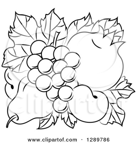 Clipart of a Black and White Design of a Pear, Apricots, Pomegranate and Grapes on Leaves - Royalty Free Vector Illustration by Vector Tradition SM