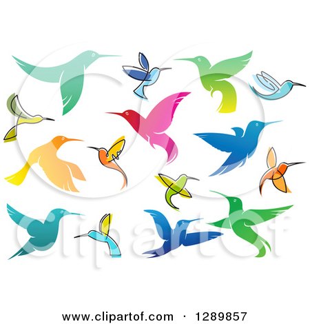 Clipart of Colorful Gradient and Sketched Hummingbirds - Royalty Free Vector Illustration by Vector Tradition SM