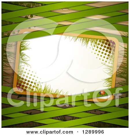Clipart of a St Patricks Day or Spring Background with a Ladybug, Halftone and Grass Sign and Green Lattice over Wood - Royalty Free Vector Illustration by merlinul