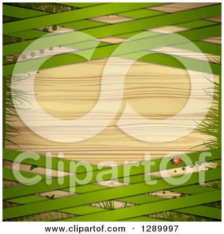 Clipart of a St Patricks Day or Spring Background with a Ladybug, Halftone, Gass and Green Lattice over Wood - Royalty Free Vector Illustration by merlinul