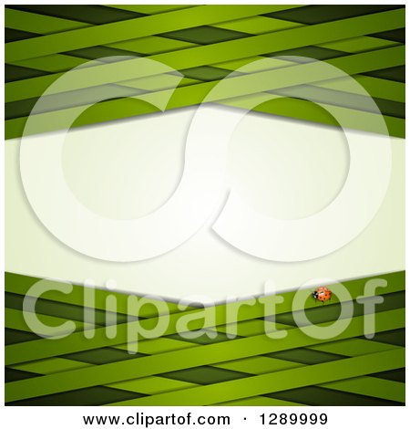 Clipart of a St Patricks Day or Spring Background with a Ladybug and Green Lattice - Royalty Free Vector Illustration by merlinul