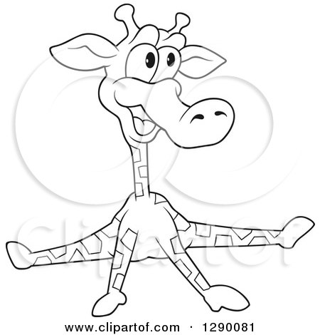 Clipart of a Black and White Cartoon Goofy Giraffe Doing the Splits - Royalty Free Vector Illustration by dero