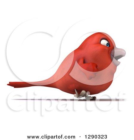 Royalty-Free (RF) Cardinal Clipart, Illustrations, Vector Graphics #1