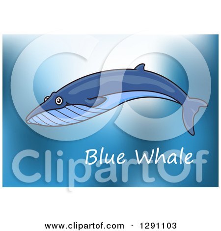 Clipart of a Cartoon Swimming Blue Whale over Text - Royalty Free Vector Illustration by Vector Tradition SM