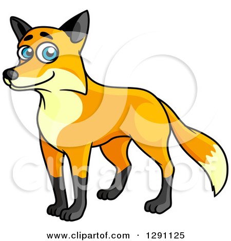 Clipart of a Happy Blue Eyed Fox - Royalty Free Vector Illustration by Vector Tradition SM