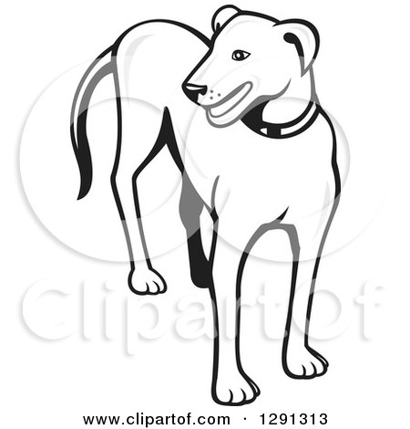 Clipart of a Grayscale Cartoon Dog Standing and Looking to the Side - Royalty Free Vector Illustration by patrimonio