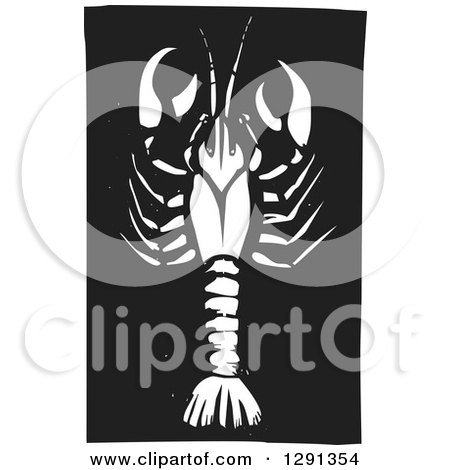 Clipart of a Woodcut White Crawdad on Black - Royalty Free Vector Illustration by xunantunich