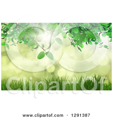 Clipart of a 3d Green Vine over Grass and Bokeh Flares with Sunshine - Royalty Free Illustration by KJ Pargeter
