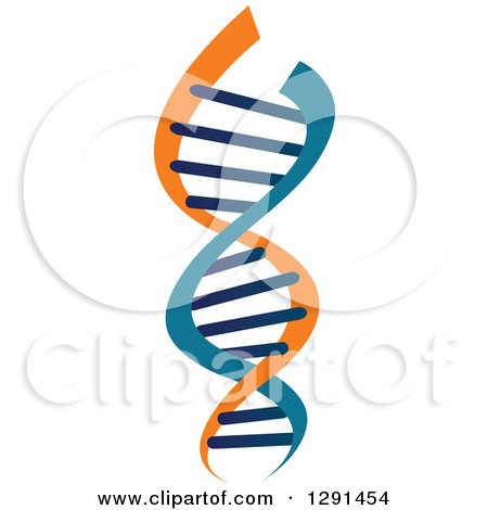 Clipart of a Blue and Orange Dna Double Helix Cloning Strand - Royalty Free Vector Illustration by Vector Tradition SM