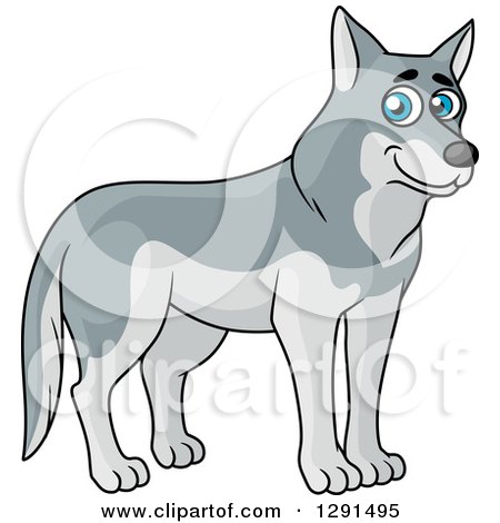 Clipart of a Cartoon Happy Blu Eyed Gray Wolf - Royalty Free Vector Illustration by Vector Tradition SM