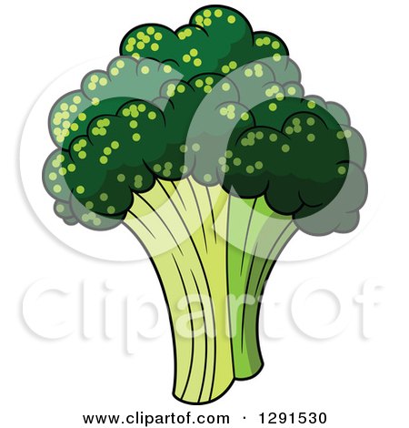Clipart of a Fresh Head of Broccoli - Royalty Free Vector Illustration by Vector Tradition SM