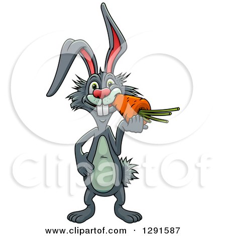 Clipart of a Cartoon Gray Rabbit Eating a Carrot - Royalty Free Vector Illustration by Vector Tradition SM