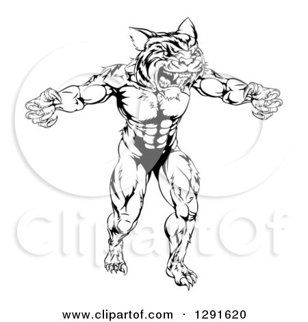 Clipart of a Black and White Muscular Fierce Tiger Man Attacking - Royalty Free Vector Illustration by AtStockIllustration