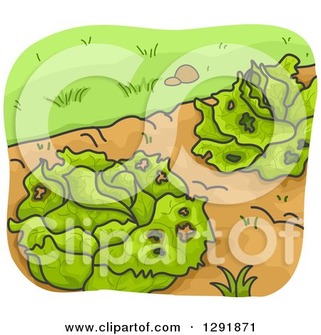Clipart of Diseased Cabbages in a Garden - Royalty Free Vector Illustration by BNP Design Studio