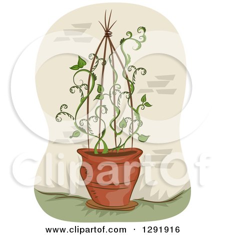 Clipart of a Potted Vine Plant Growing up a Trellis - Royalty Free Vector Illustration by BNP Design Studio