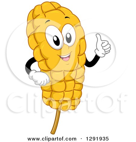 Clipart of a Cartoon Happy Corn Cob on a Stick Character Giving a Thumb up - Royalty Free Vector Illustration by BNP Design Studio