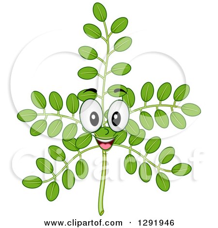 Clipart of a Cartoon Happy Moringa Plant Stalk Character - Royalty Free Vector Illustration by BNP Design Studio