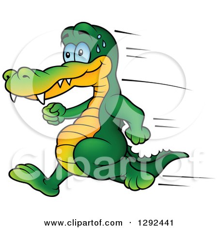 Clipart of a Cartoon Sweaty Crocodile Running - Royalty Free Vector Illustration by dero