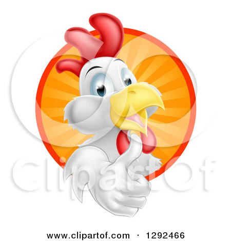 Clipart of a Happy White Rooster Holding a Thumb up and Emerging from a Sunshine Circle - Royalty Free Vector Illustration by AtStockIllustration