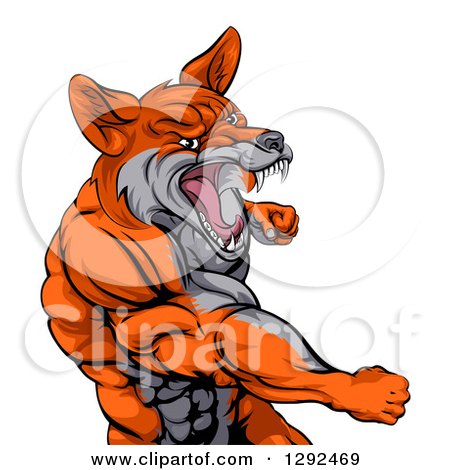 Clipart of a Muscular Fox Man Mascot Punching from the Hips up - Royalty Free Vector Illustration by AtStockIllustration