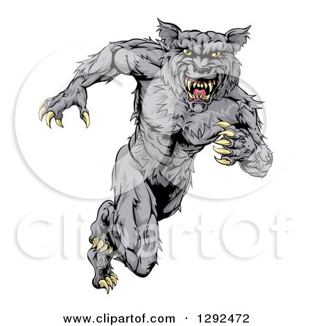 Clipart of a Vicious Gray Muscular Wolf Man Sprinting - Royalty Free Vector Illustration by AtStockIllustration