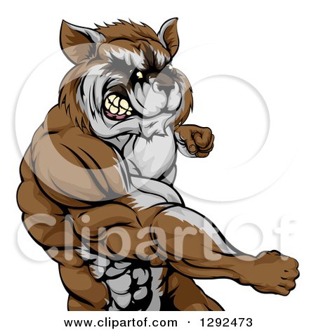 Clipart of a Muscular Raccoon Man Mascot Punching from the Hips up - Royalty Free Vector Illustration by AtStockIllustration