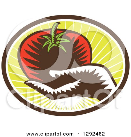 Clipart of a Retro Woodcut Hand Holding a Plump Tomato in a Brown White and Green Sunshine Oval - Royalty Free Vector Illustration by patrimonio