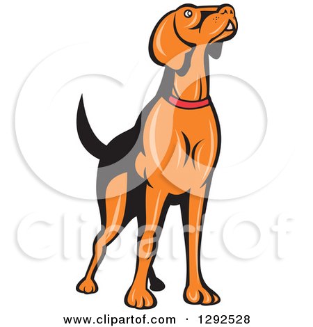 Clipart of a Retro Cartoon Golden Retriever Dog Sniffing the Air - Royalty Free Vector Illustration by patrimonio