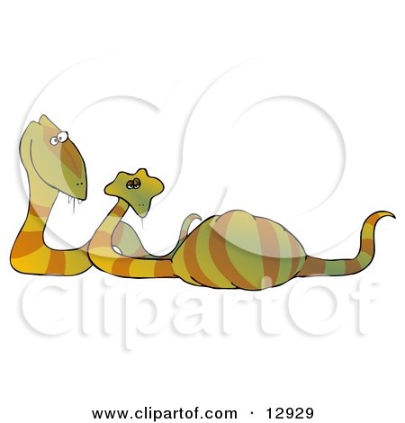 Happy Snake Couple Expecting Eggs Clipart Illustration by djart