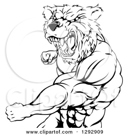 Clipart of a Black and White Roaring Angry Muscular Bear Man Punching - Royalty Free Vector Illustration by AtStockIllustration