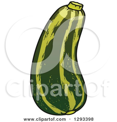 Clipart of a Plump Zucchini - Royalty Free Vector Illustration by Vector Tradition SM