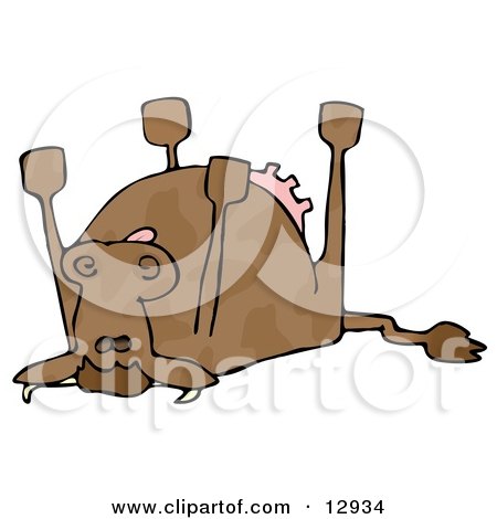 Dead Cow Lying on its Back, its Feet Strait up Clipart Illustration by djart