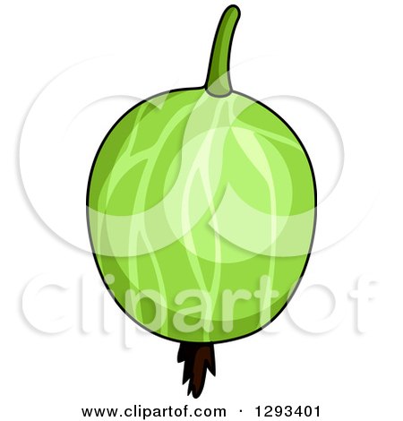 Clipart of a Shiny Gooseberry - Royalty Free Vector Illustration by Vector Tradition SM