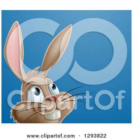 Holiday Clipart of a Happy Brown Easter Bunny Rabbit Looking up to Text Space on Blue - Royalty Free Vector Illustration by AtStockIllustration