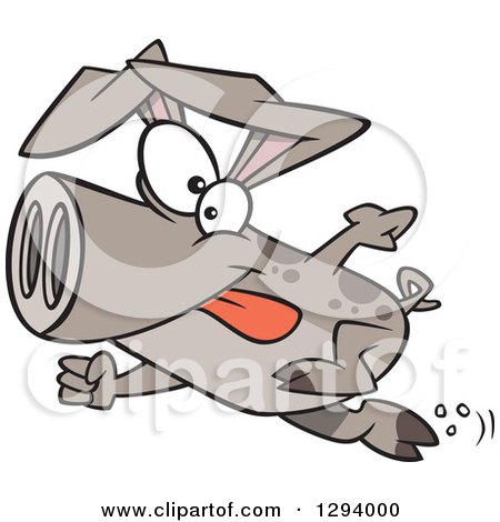 Clipart of a Cartoon Determined Pig Sprinting - Royalty Free Vector Illustration by toonaday