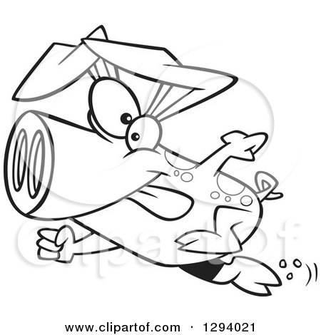 Lineart Clipart of a Black and White Cartoon Determined Pig Sprinting - Royalty Free Outline Vector Illustration by toonaday