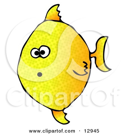 Shocked Yellow Angelfish Swimming Underwater Clipart Graphic Illustration by djart