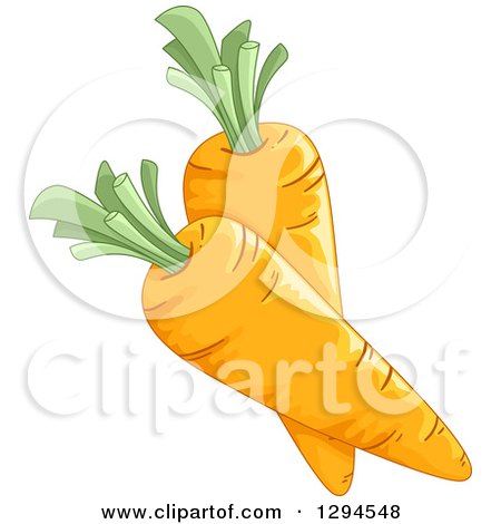 Clipart of Two Plump Carrots - Royalty Free Vector Illustration by BNP Design Studio
