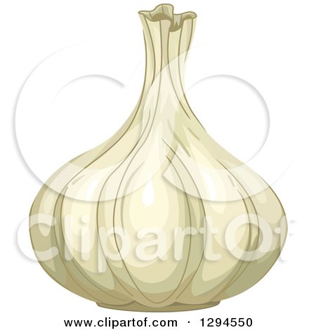 Clipart of a White Garlic Bulb - Royalty Free Vector Illustration by BNP Design Studio
