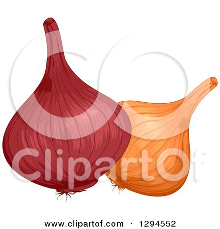 Clipart of Red and Yellow Onions with Skins on - Royalty Free Vector Illustration by BNP Design Studio